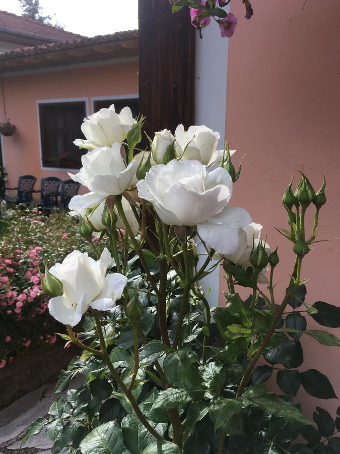 Bobi Guest House Koprivshtitsa Exterior photo