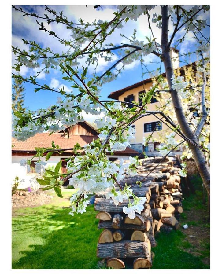 Bobi Guest House Koprivshtitsa Exterior photo